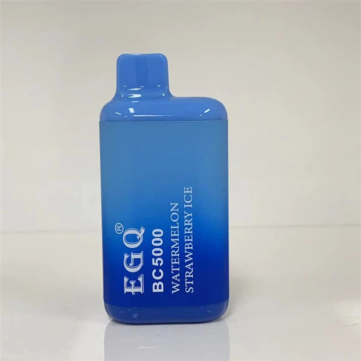 Best Seller Wholesaler Disposable Vape Pen 5K Puffs Vape Pen Ecig